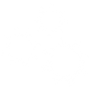 Icon für die Darstellung der Entwicklung