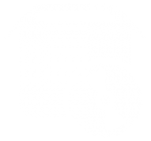 Icon für die Darstellung von Software & Lizenzen