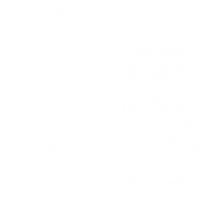 Icon für die Darstellung von Storage-Virtualisierung im Bereich Projekte