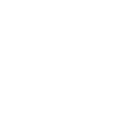Icon für die Darstellung der Projekte